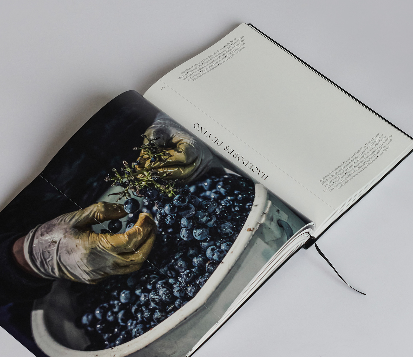 book editorial Layout typography   stamping wine luxury elegant minimal slipcase