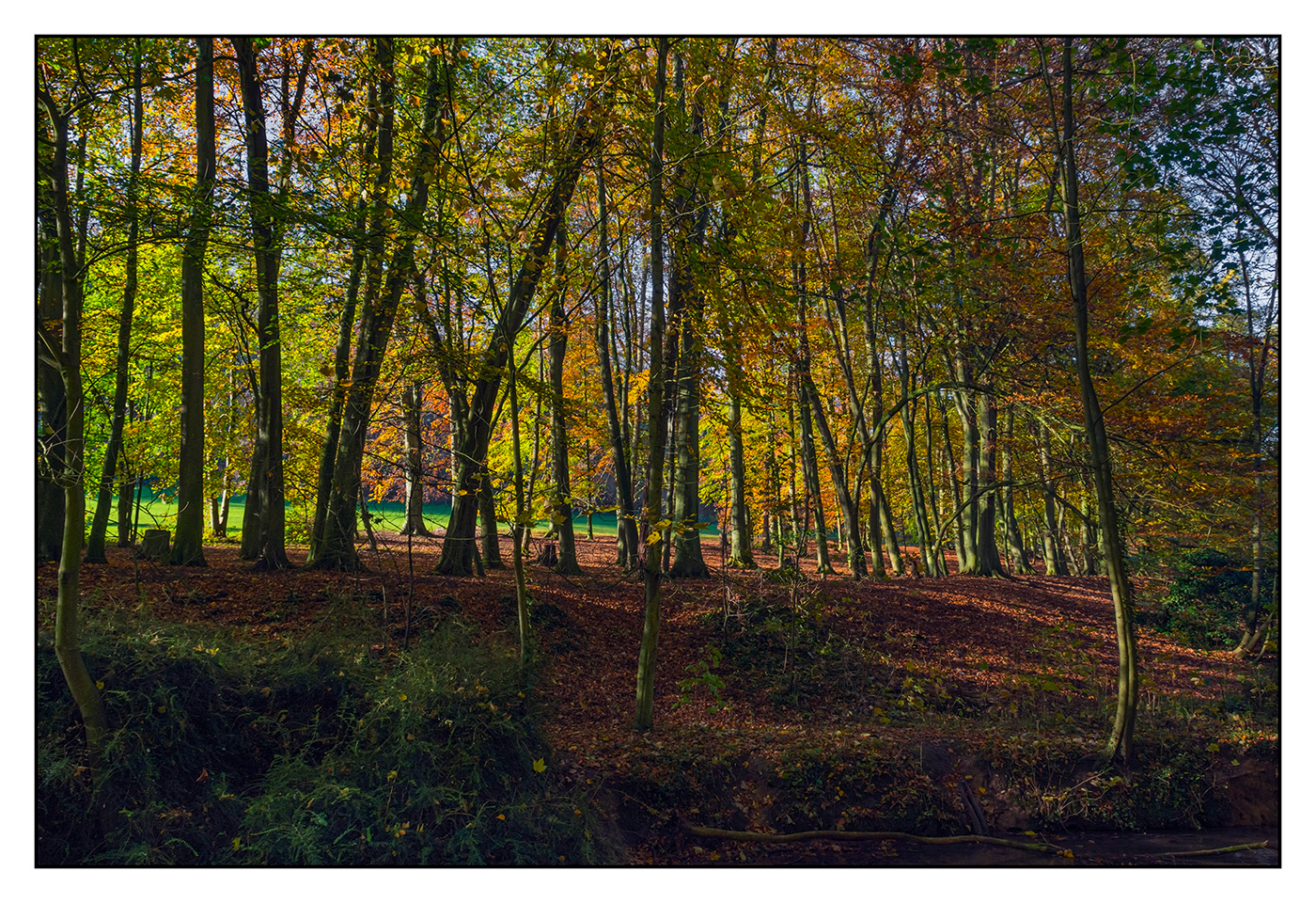 autumn colour Landscape Photography 