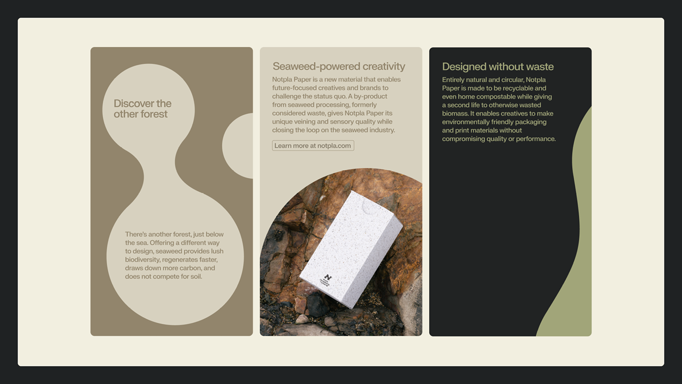 branding  Sustainability Packaging visual identity Logo Design