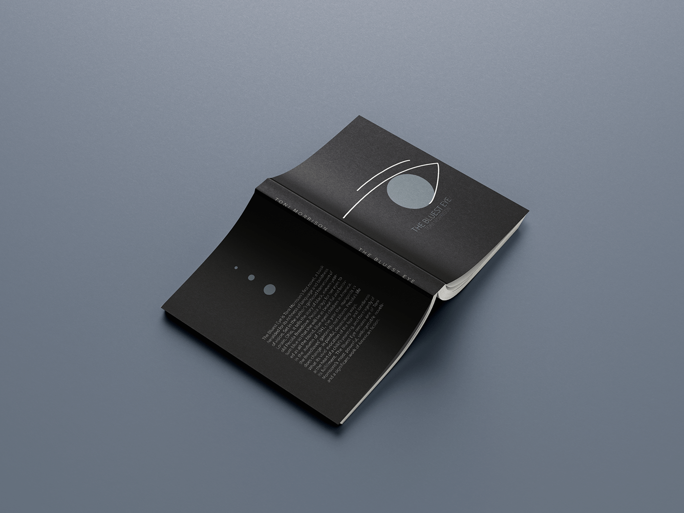 book cover Book Layout Dark Design graphic design 