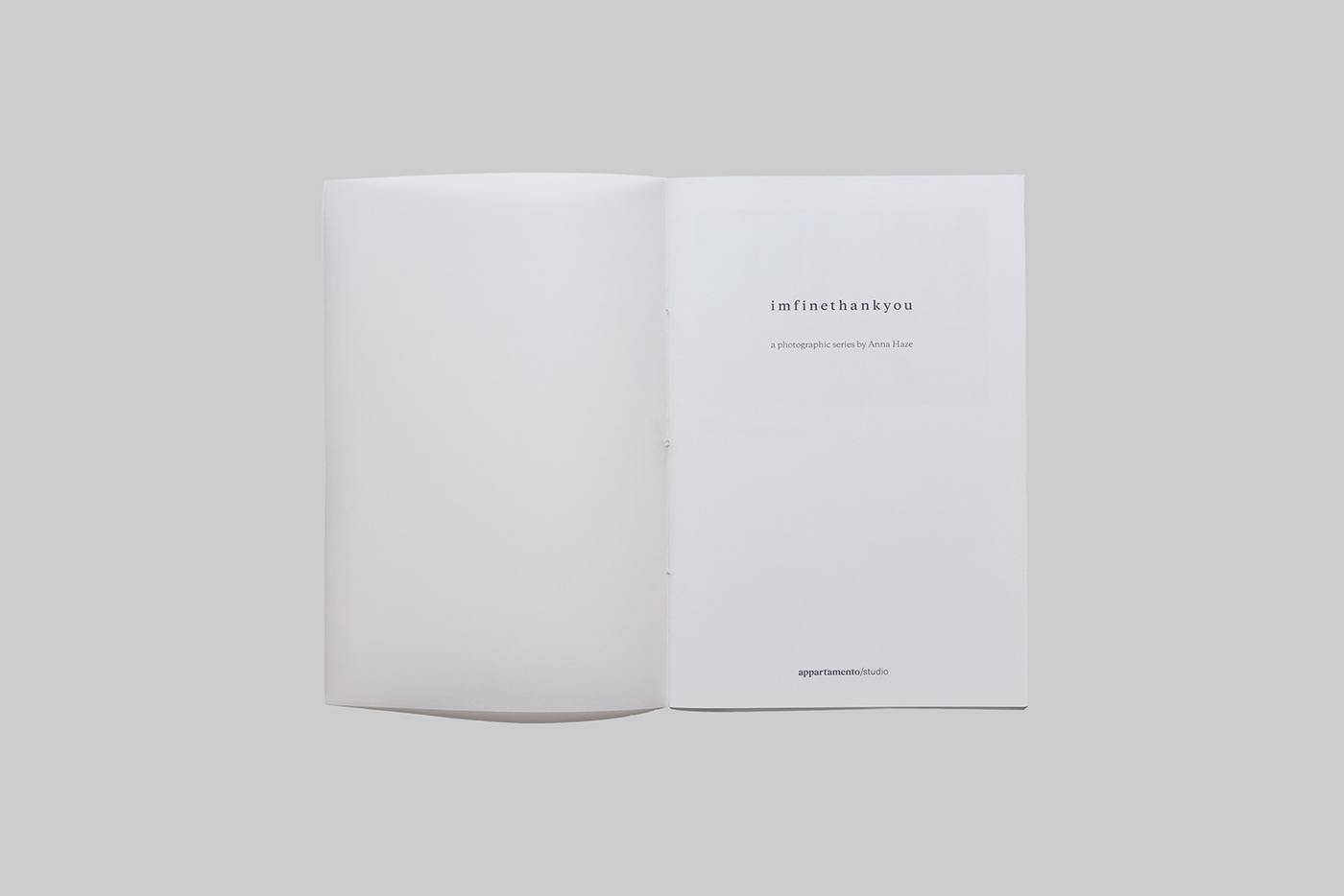 Photography  transparent graphic White Fade binding japonese book Minimalism volumes