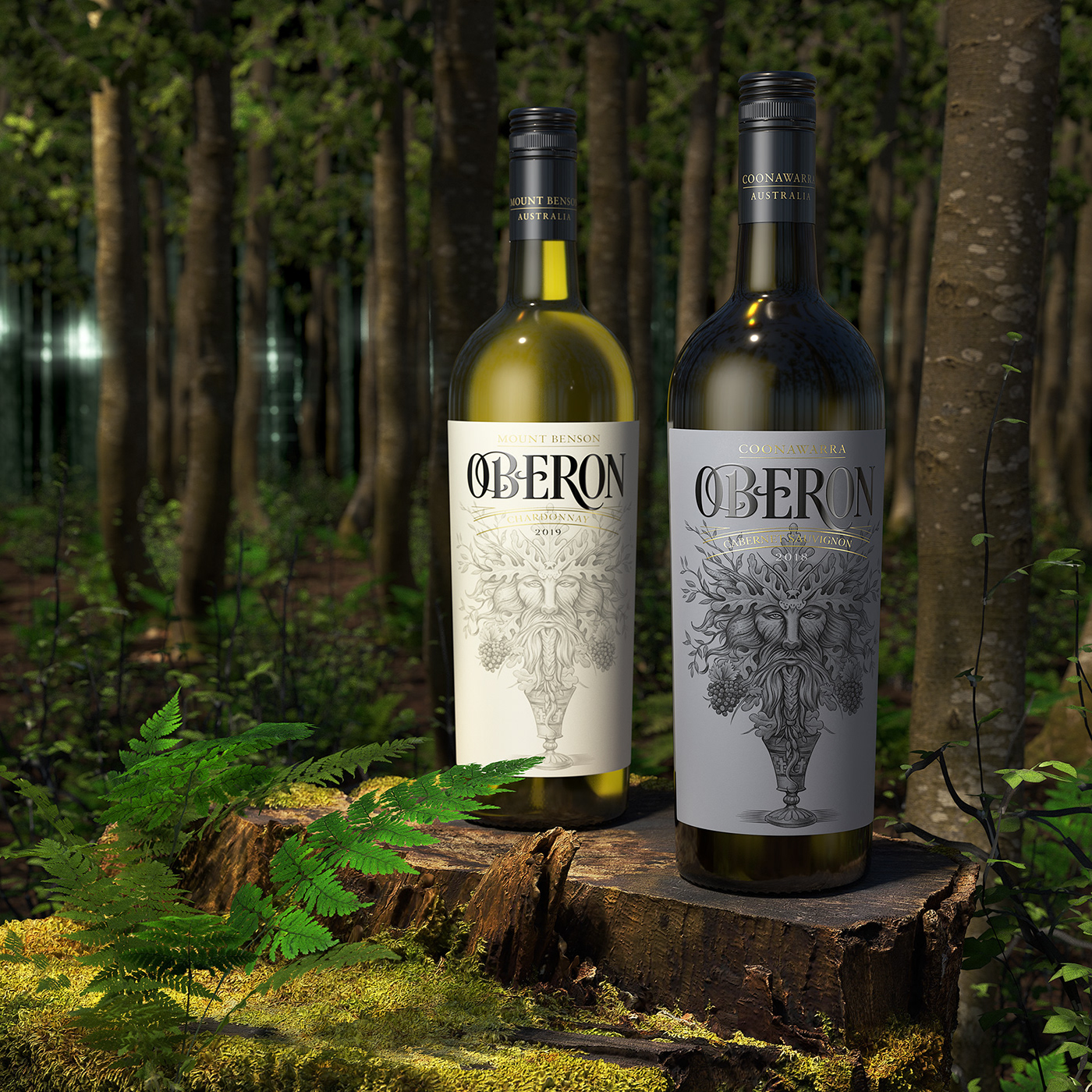 3d render Arnold Render cinema 4d packaging design Wine Labels
