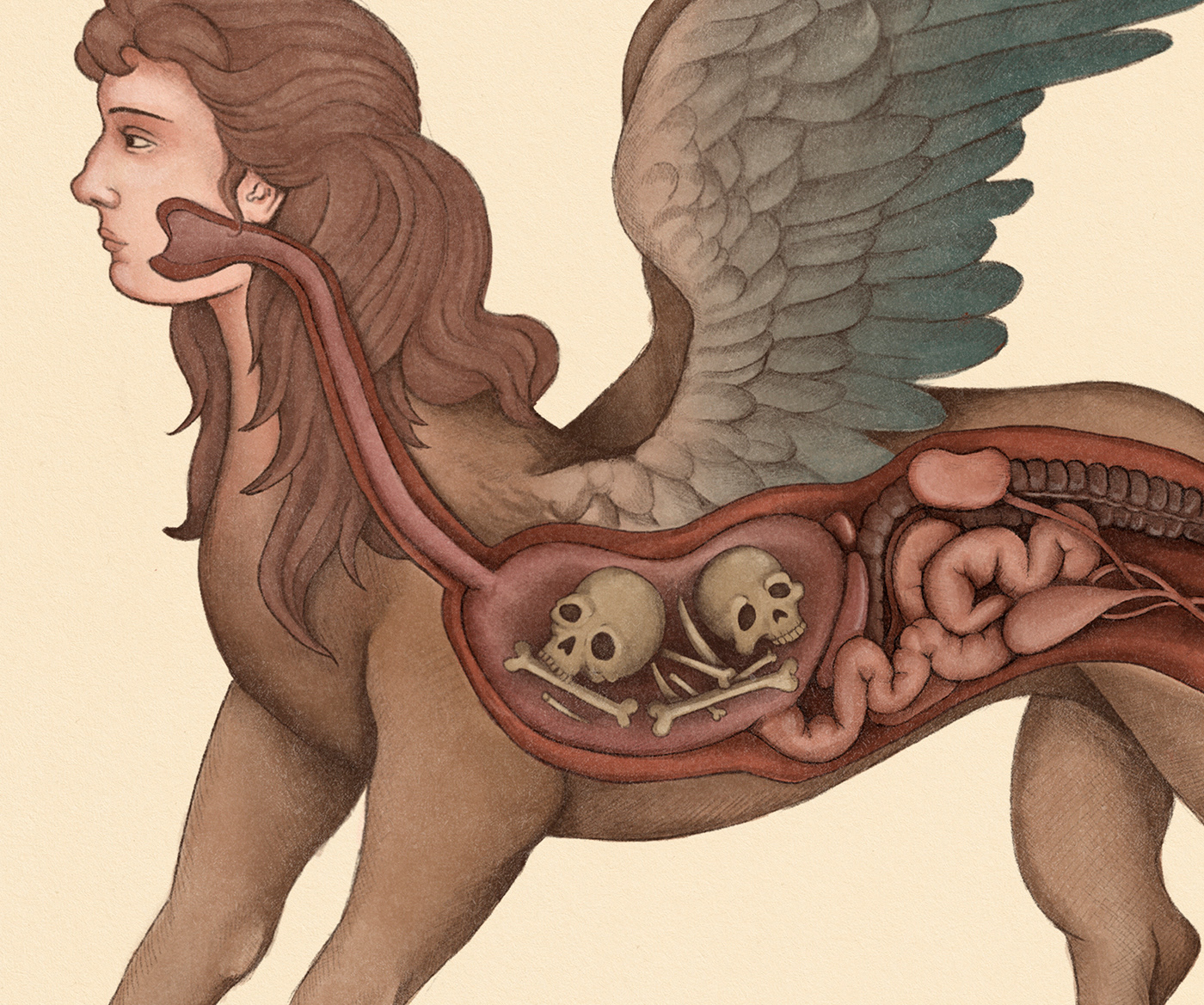 anatomy creature egypt greek medical medical illustration medicine monster mythology sphinx