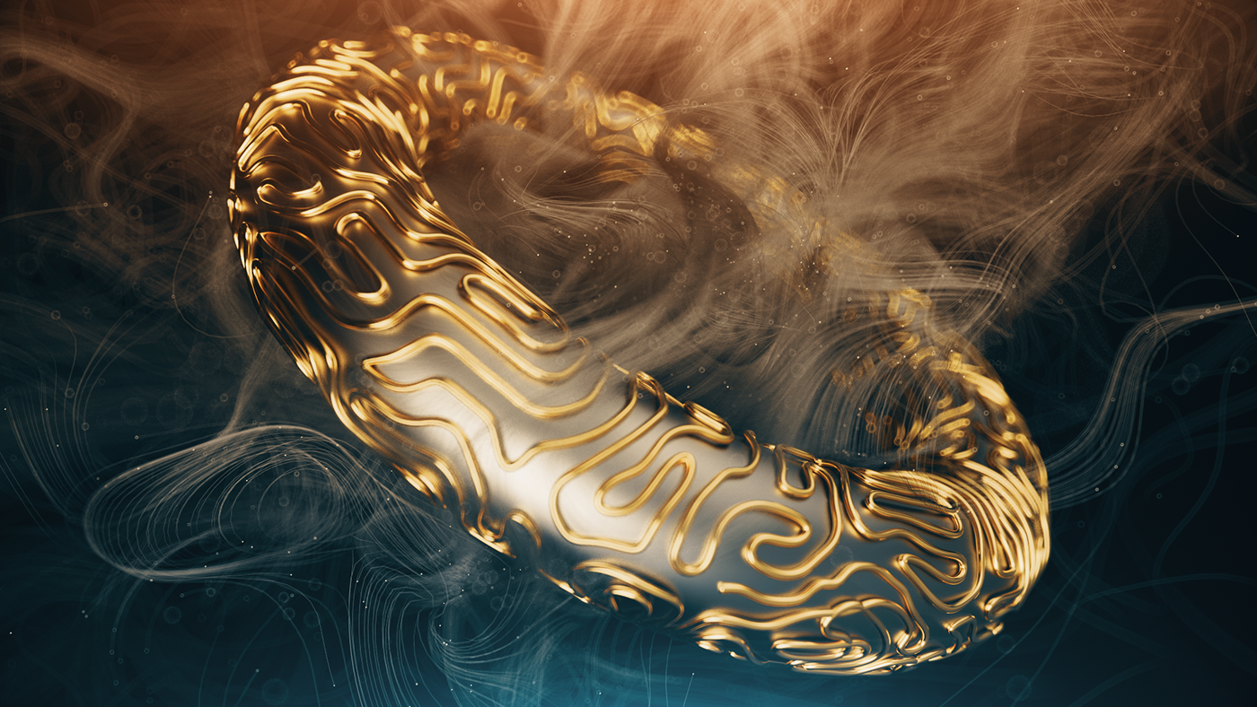 styleframes houdini xparticles 3D design abstract motiongraphics motiondesign Render