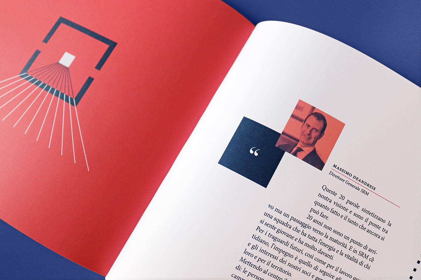 book editorial design  book cover print Layout InDesign adobe Illustrator digital illustration graphic design 