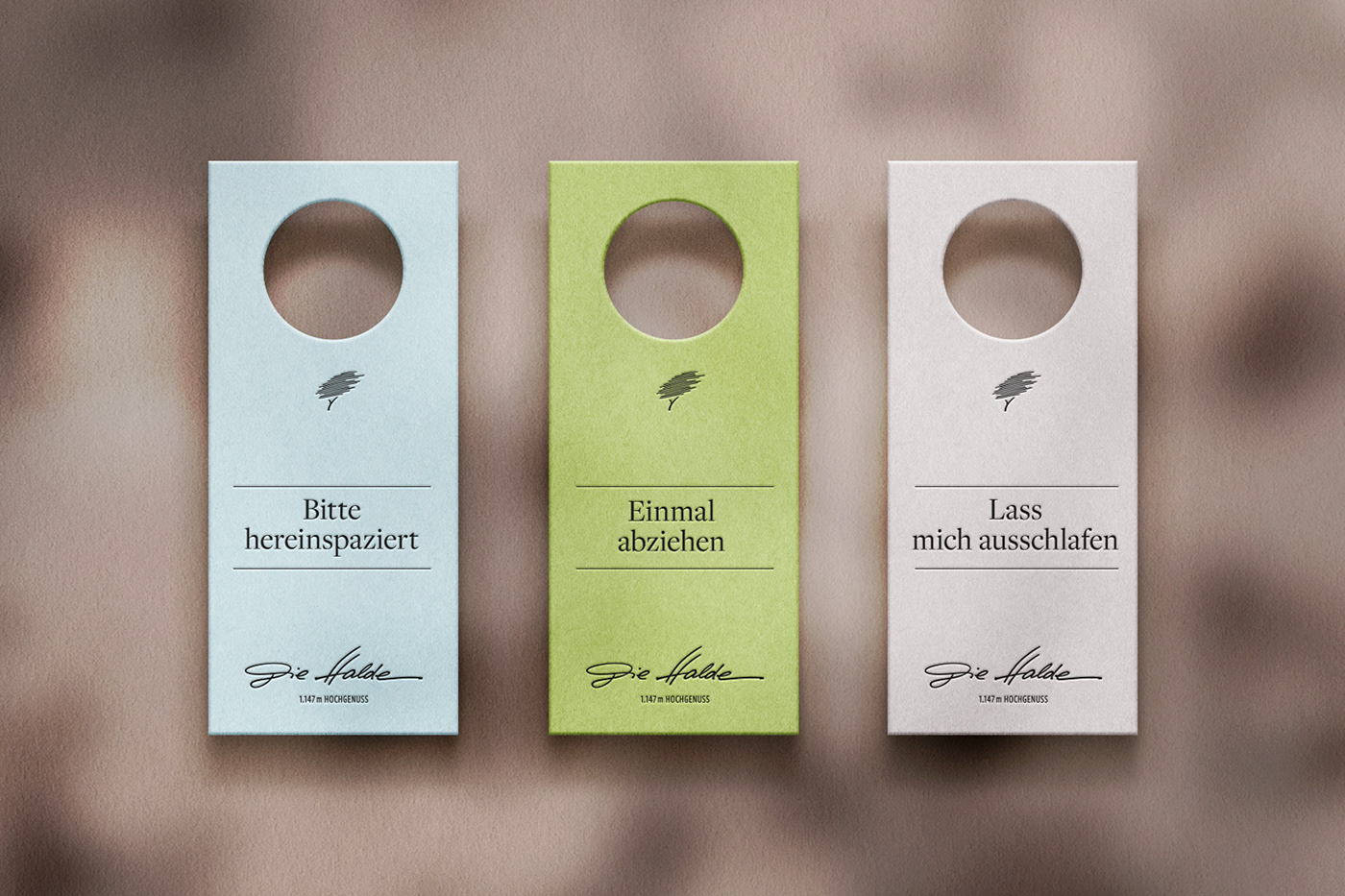 brand brand identity branding  hotel ILLUSTRATION  Logo Design Packaging product design  stationary visual identity