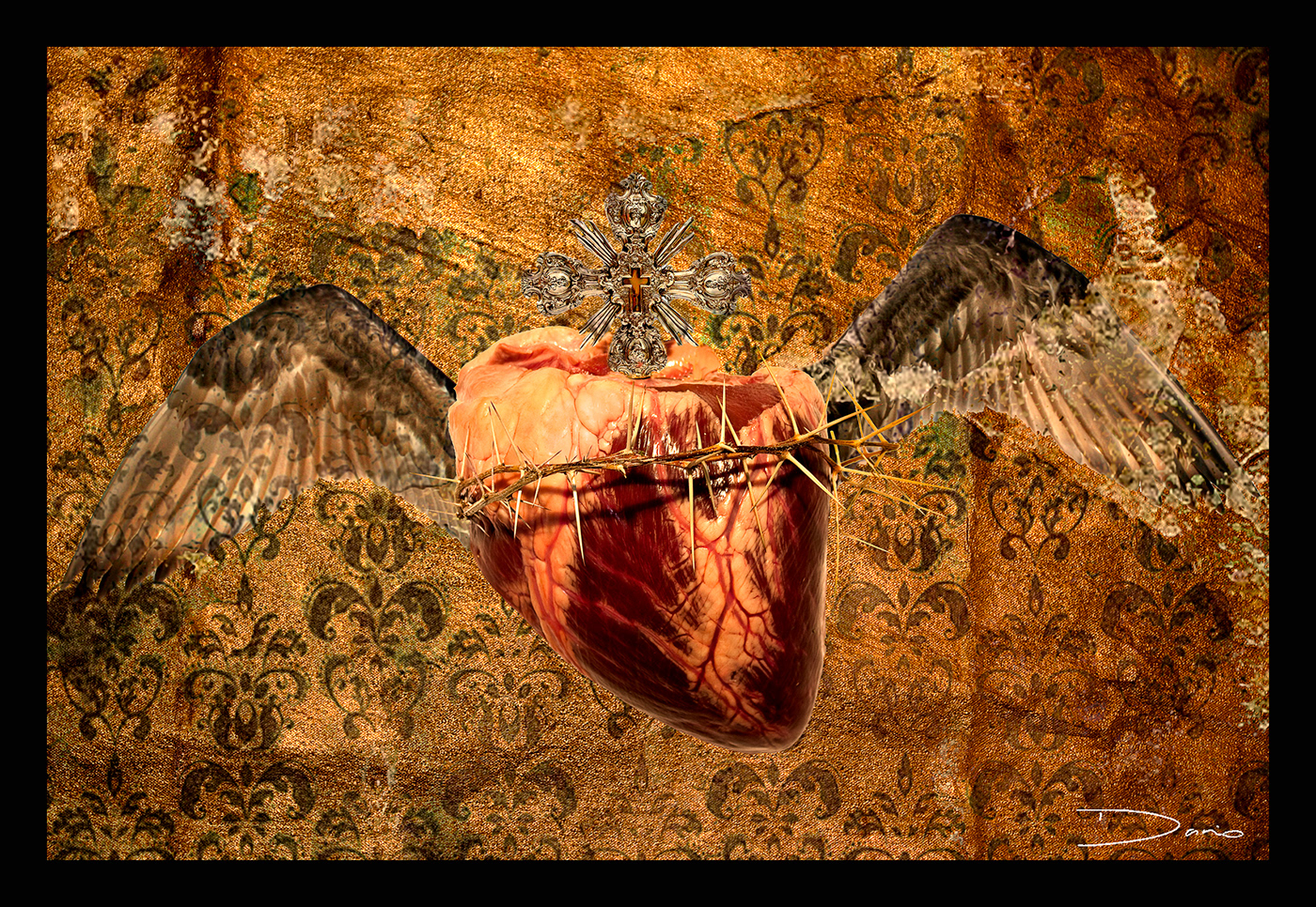 Fotografia SACRO heart artwork artist Photography  corazones