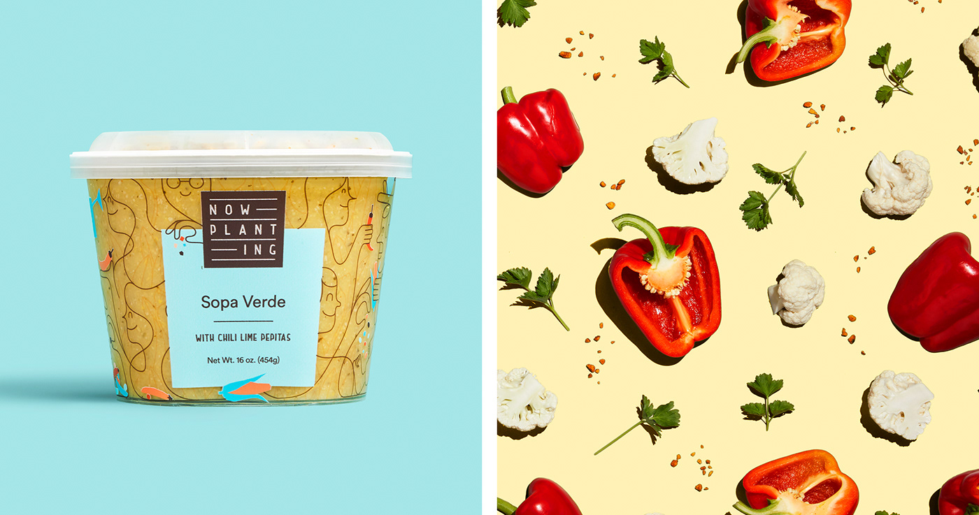 branding  ILLUSTRATION  Packaging art direction  Photography  Food  Soup Creative Direction  graphic design  art