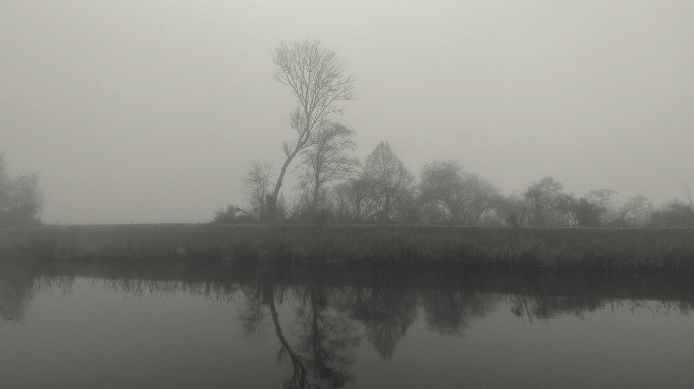 fog Landscape nebel Photography 