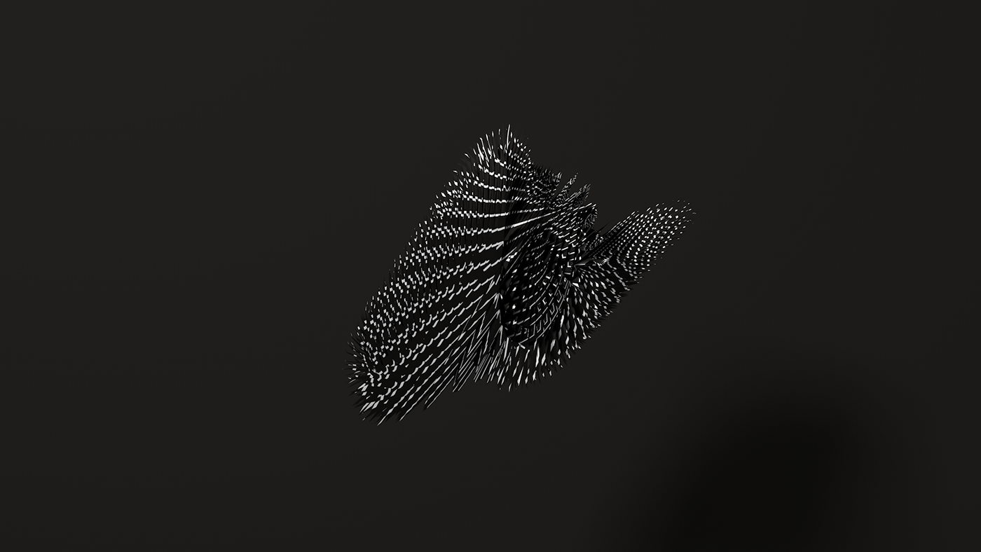 morphing bending deforming MoGraph abstract black and white minimal