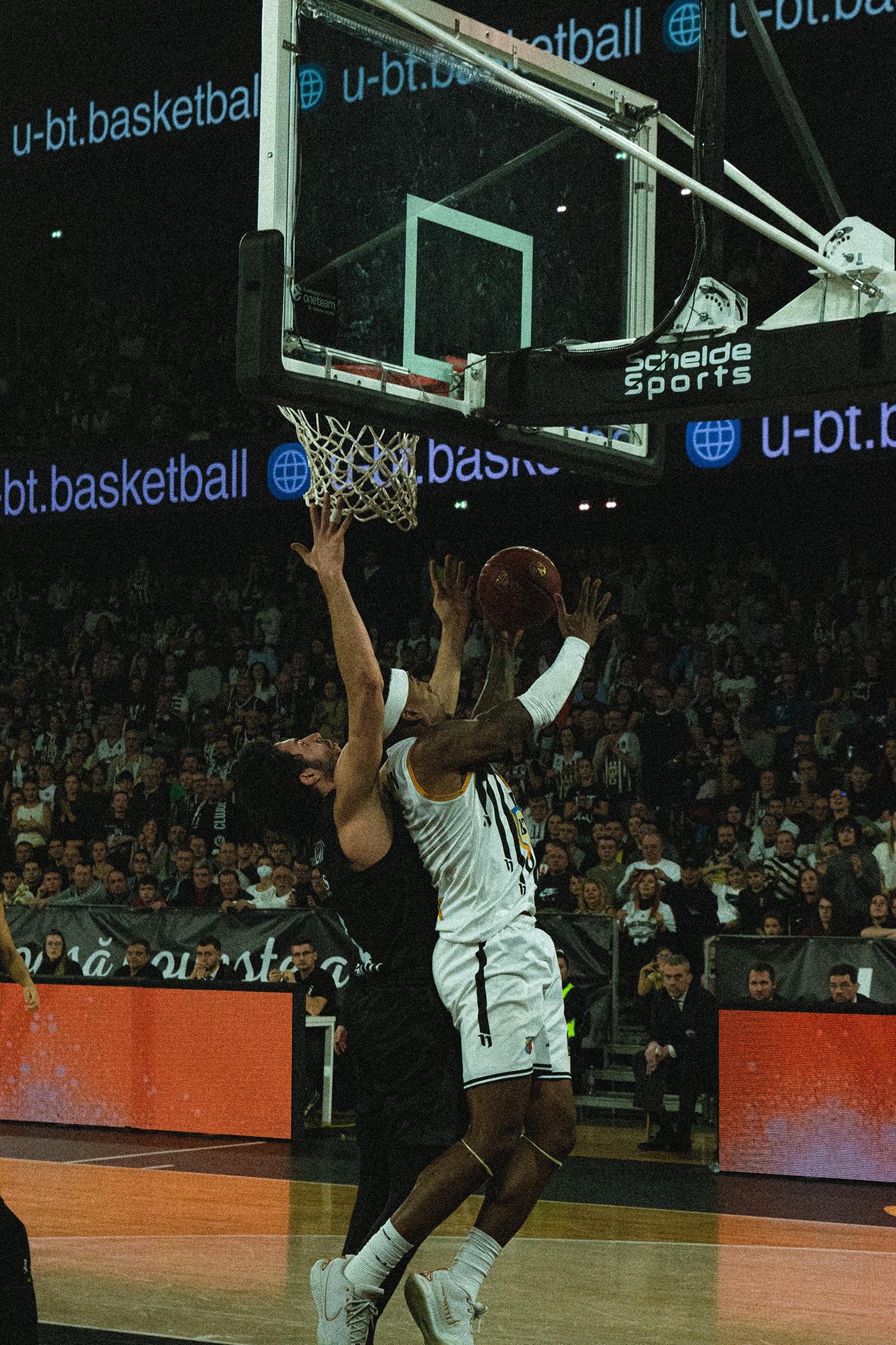 basketball NBA sports Photography  photographer photoshoot editorial Layout game