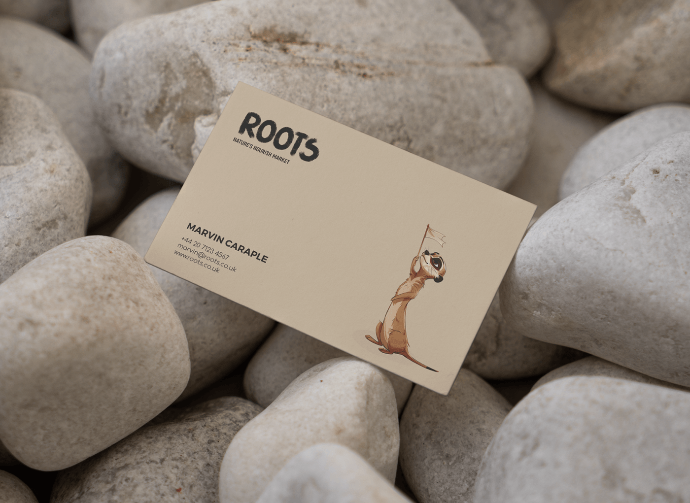 Brand Identity for eco-friendly store. Business card design.
