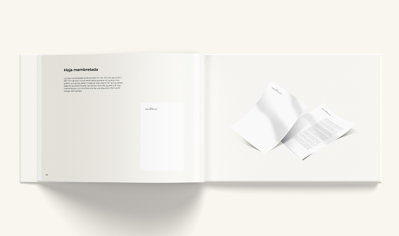 identity manual Manual de Identidad diseño gráfico brand identity design