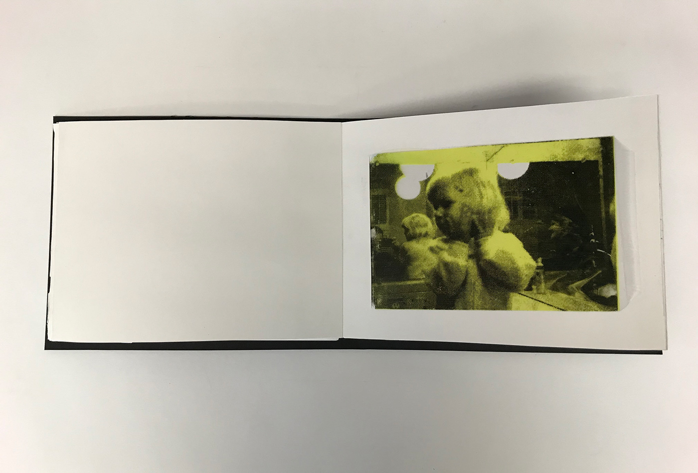 printmaking half-tone Screenprinting process printing fine art Found Photos Book Arts book making accordion book