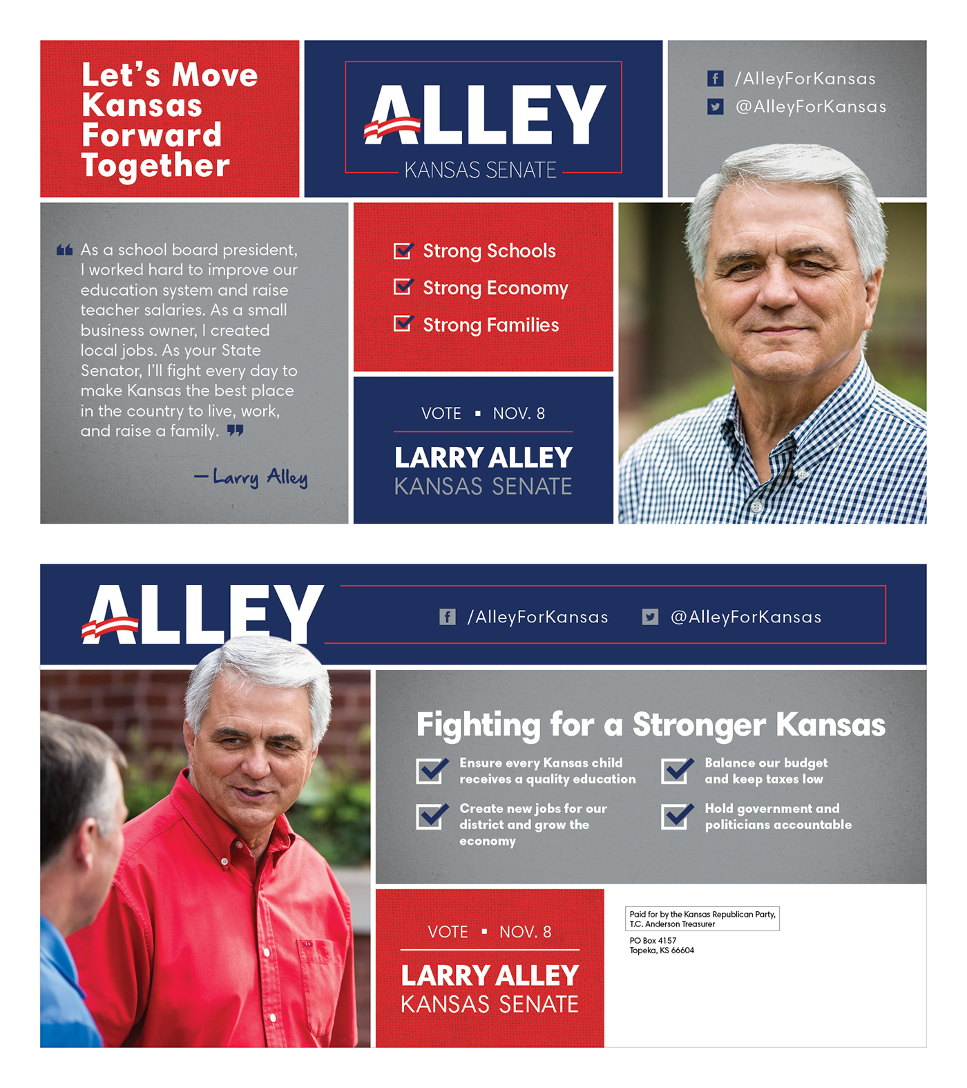art directon graphic design  mailer design political Election branding  print politics