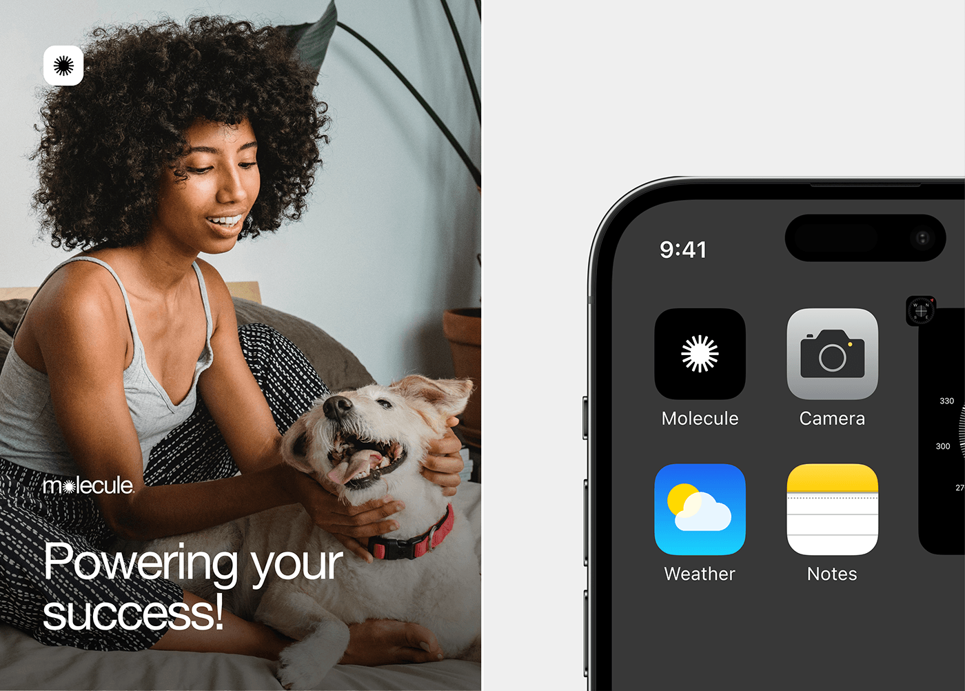 Molecule – Smart Home Mobile App & UX UI Design