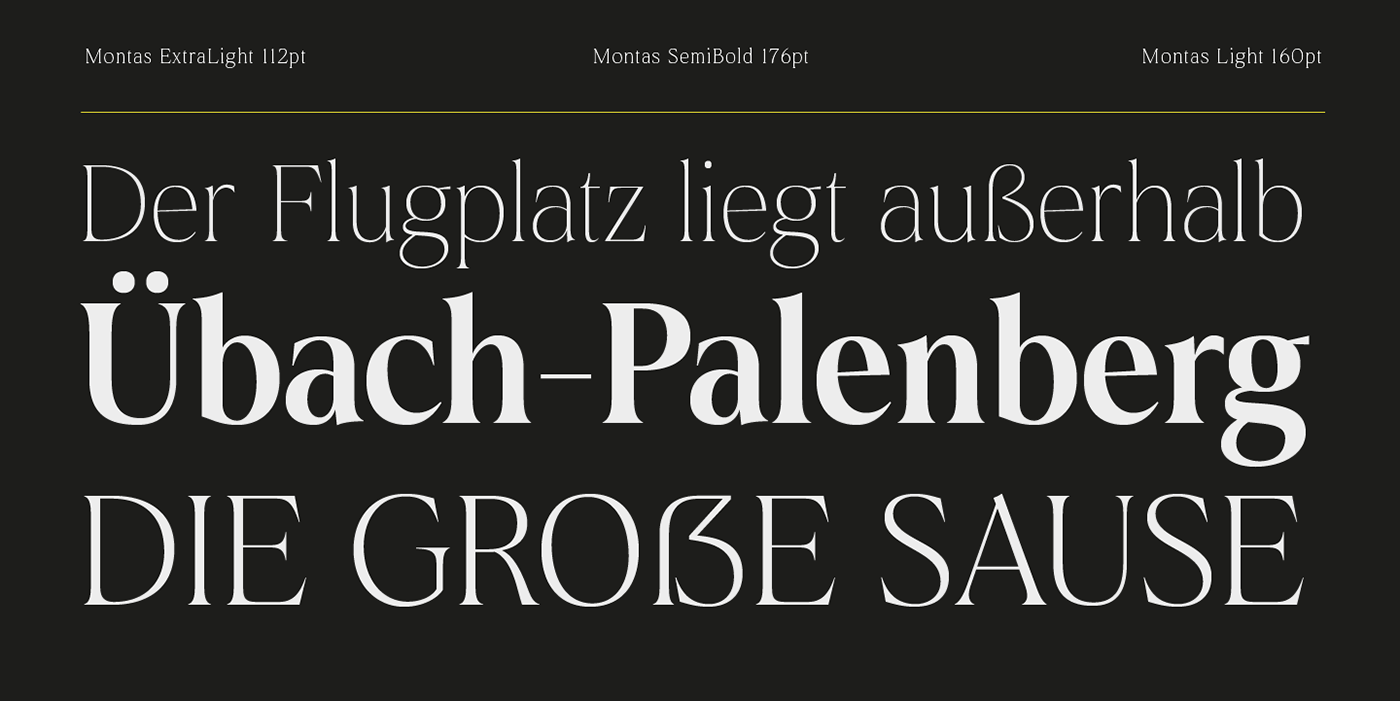 download elegant fonts Layout magazines modern font newspaper Serif Font type design typography  