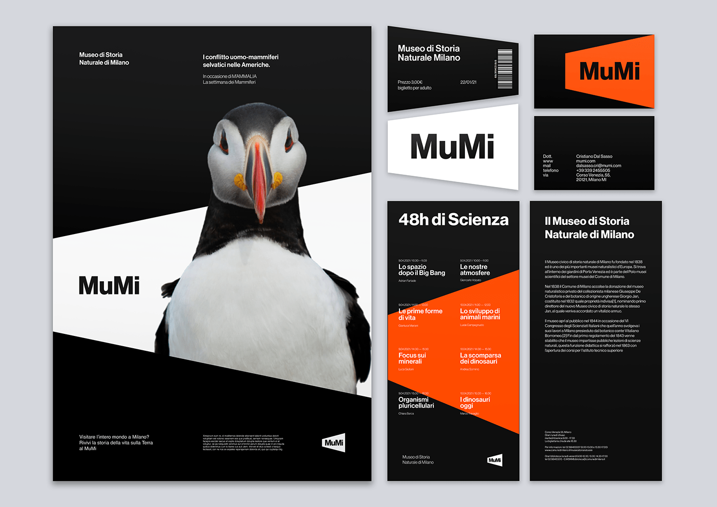 black brand identity branding  business card graphic design  Logo Design museum museum branding rebranding
