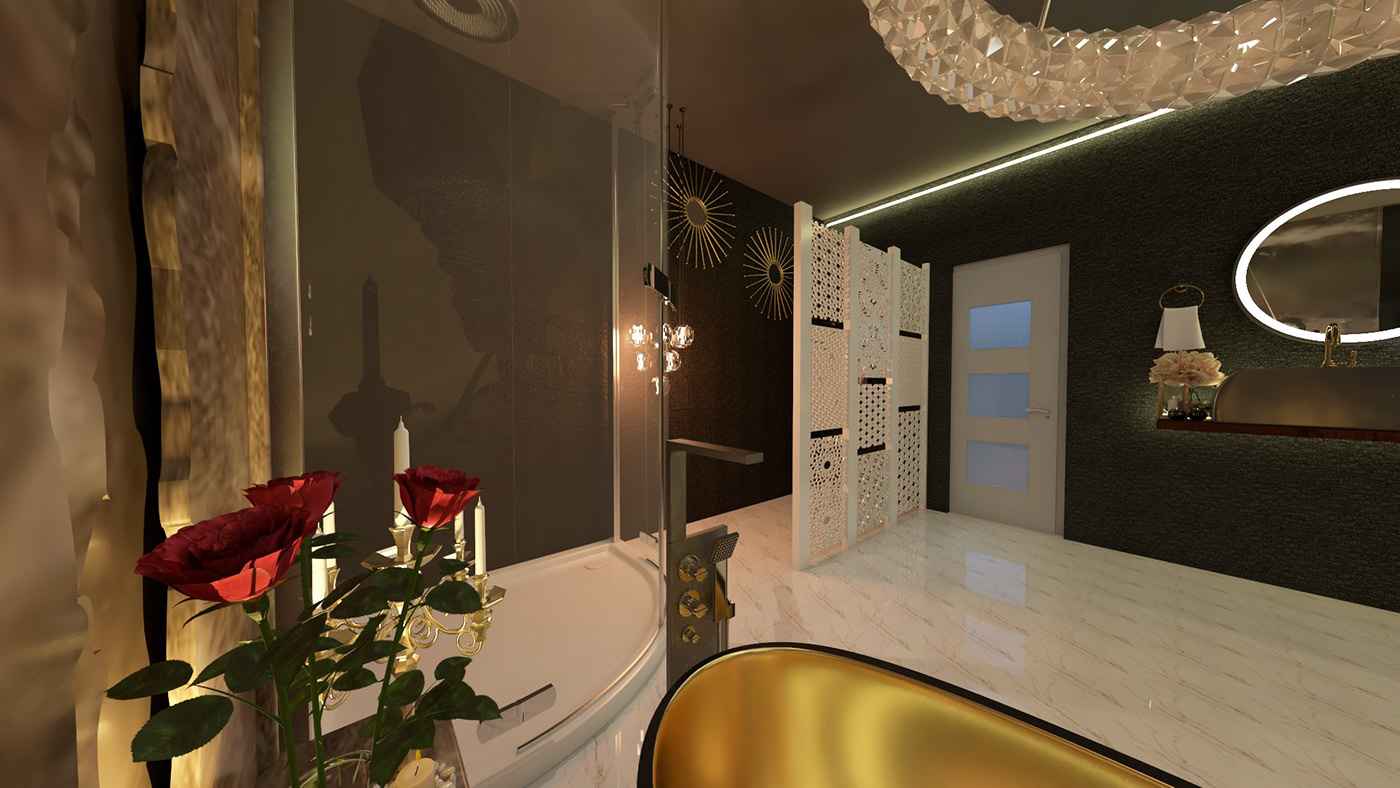 contemporary designs hotel luxiourious luxury softwares washroom