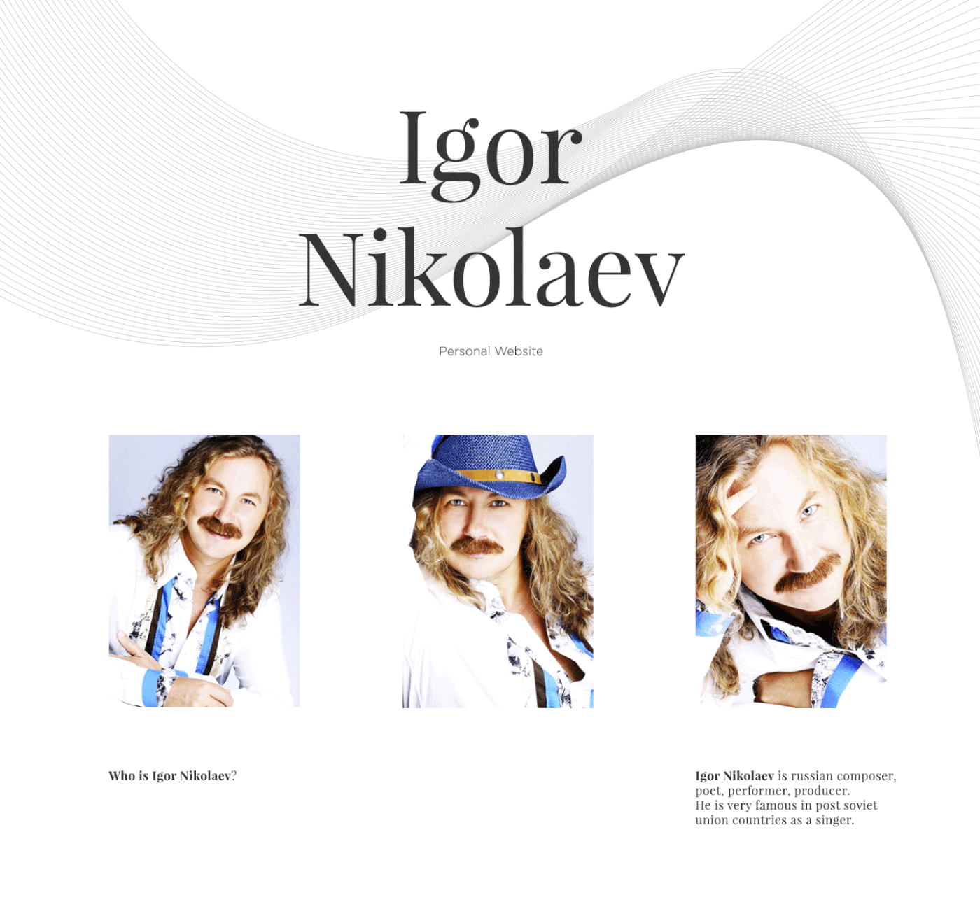 Web Website Nikolaev landing page promo Webdesign UI sketch ux