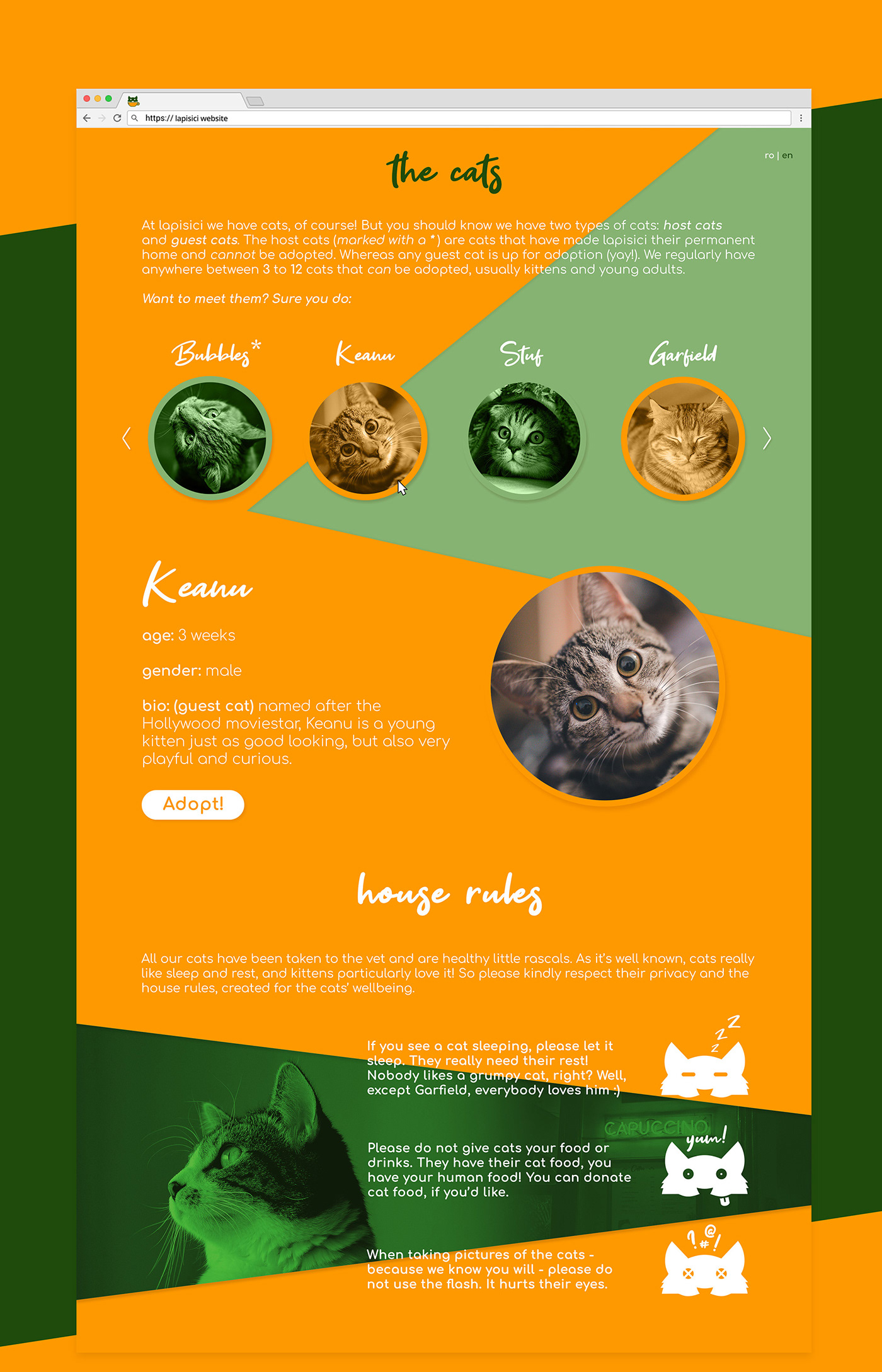 La Pisici cat  cafe  visual identity and web  page mock up on 