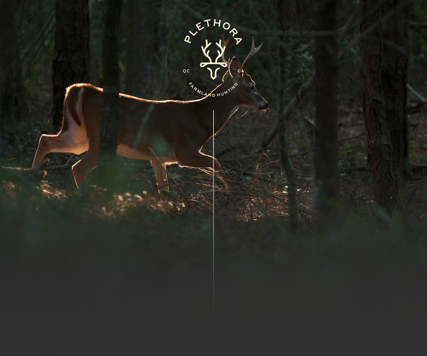 Hunting chasse identity ux UI branding  Retro farm land prey