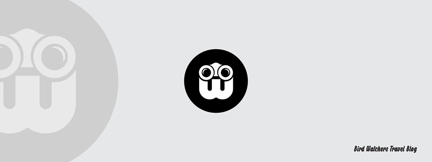 New Zealand colour logofolio icons logo marks Logotype Logo Design