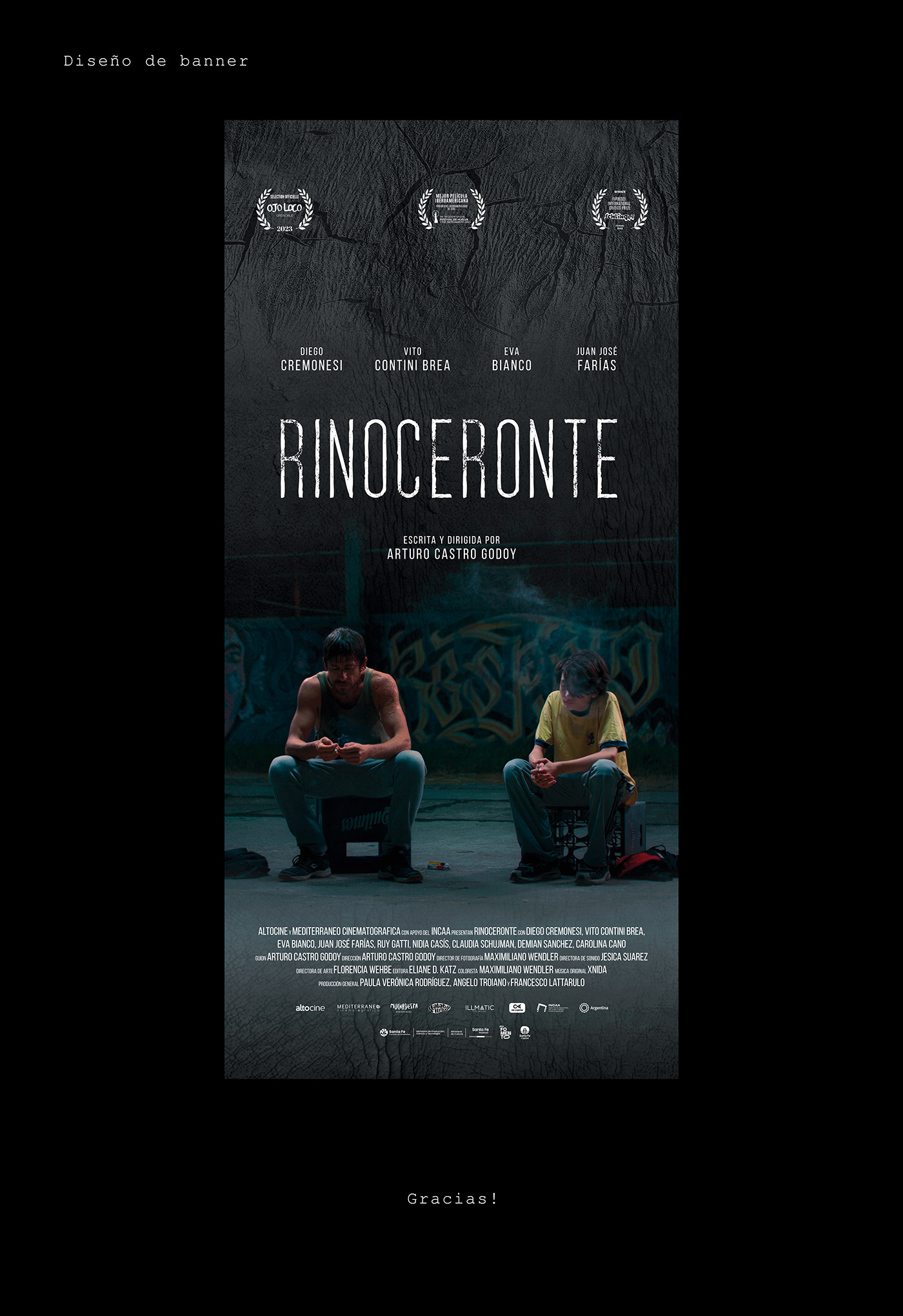 afiche cinematography Film   posters adoption graphic design  pelicula cartel incaa cine argentino