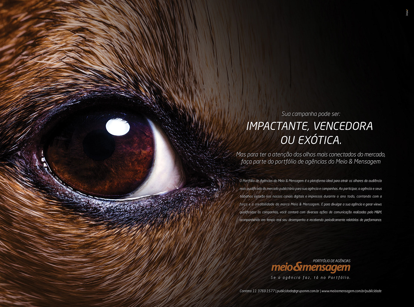 Advertisign Creative Direction  Art Director campanha publicitária publicidade Direção de arte design gráfico Meio & Mensagem
