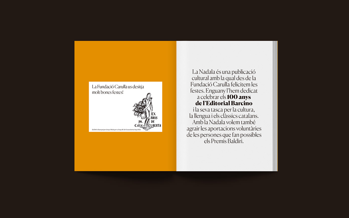 editorial design  editorial barcino fundacio carulla La Nadala