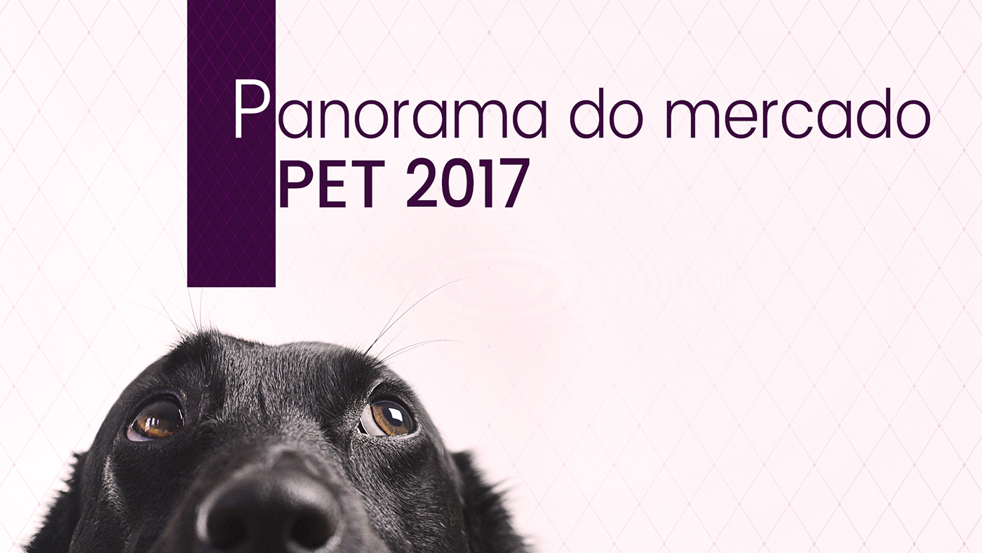 Pet petcare pet food PPT presentation package
