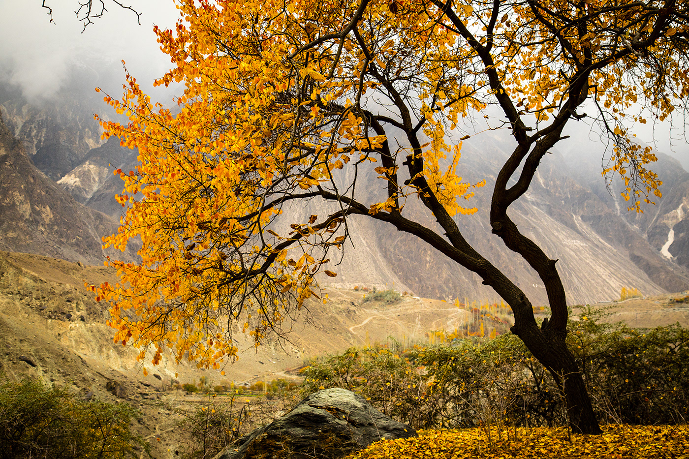 landscpe autumn colours mountains snow fruits Pakistan Sunrise rivers terrain