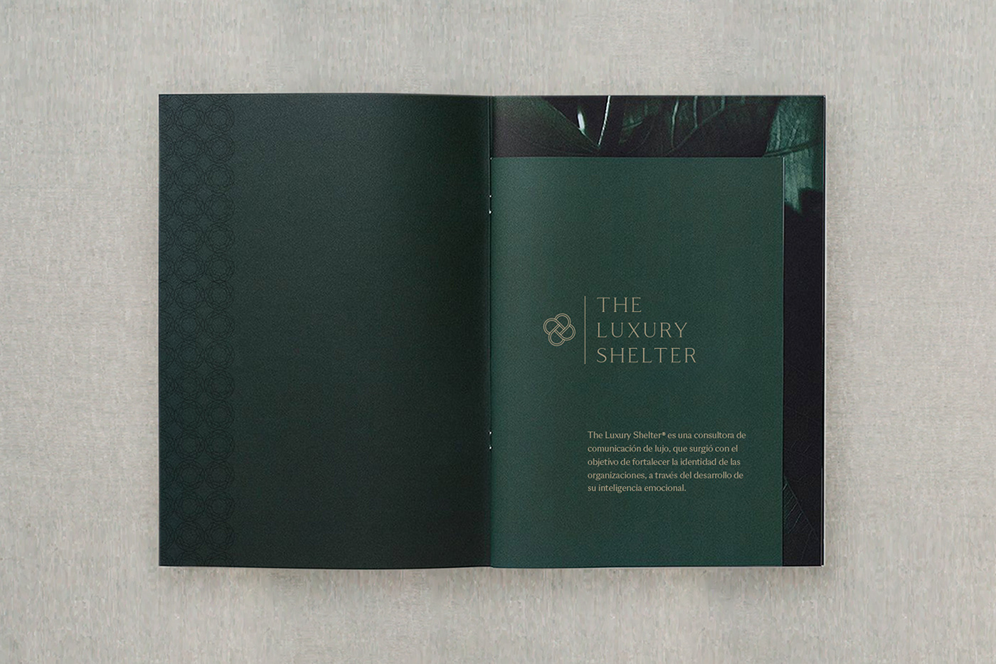 agency brand book Brand Design Brand ID Consulting logo luxury marketing   visual identity