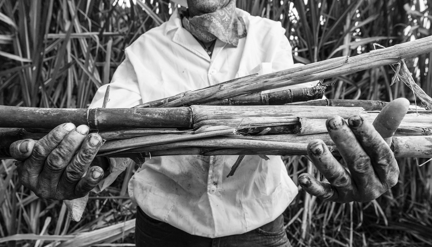 decana panela Sugarcane sugar colombia bio vollrohrzucker organic package ILLUSTRATION 