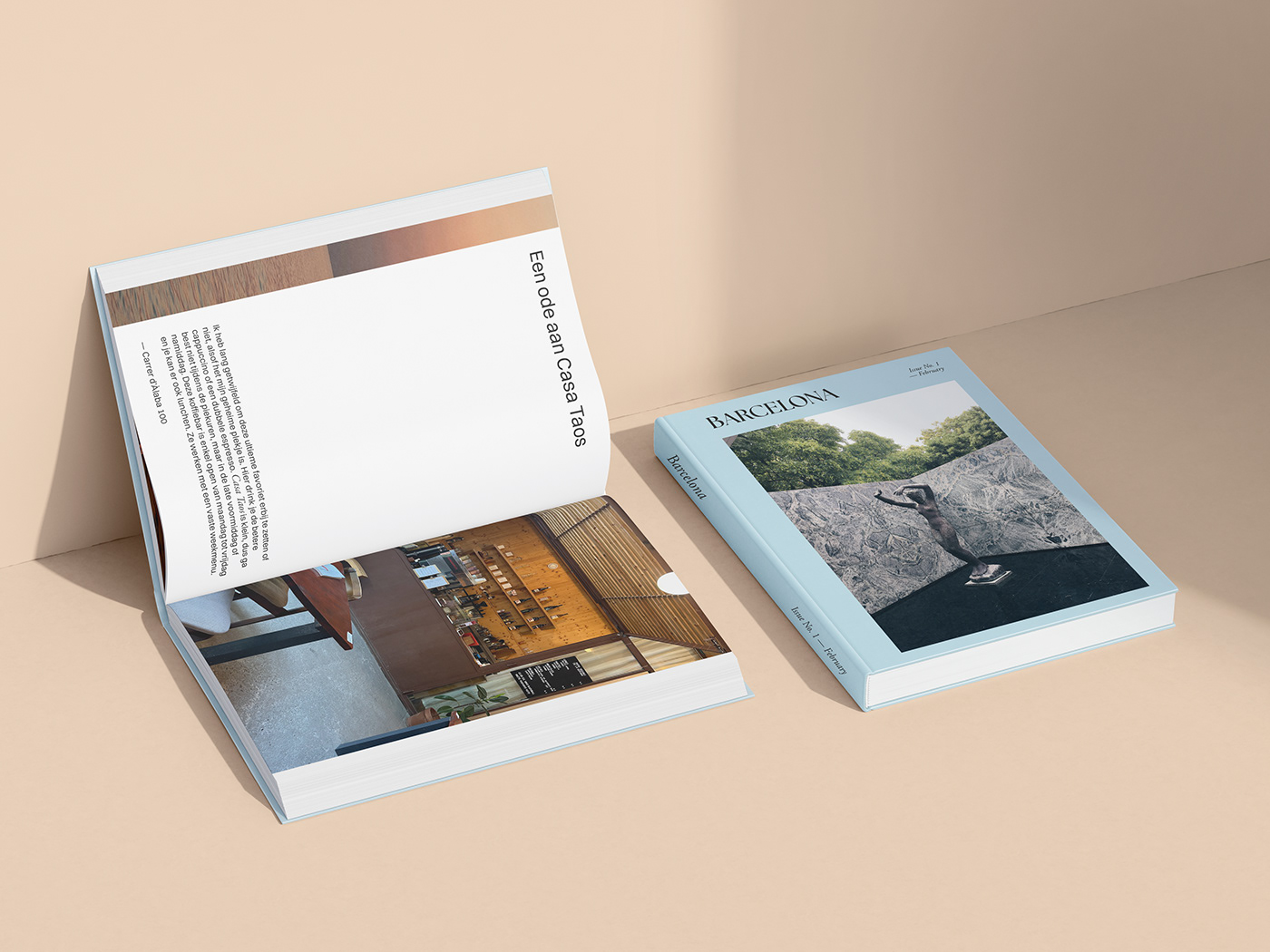 book book cover book design Layout Design Layout print InDesign typography   graphic design 