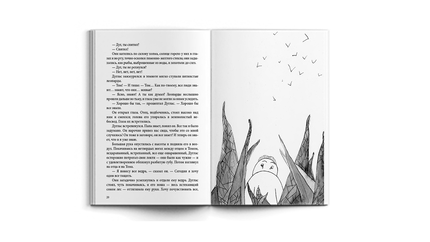 illustrations book