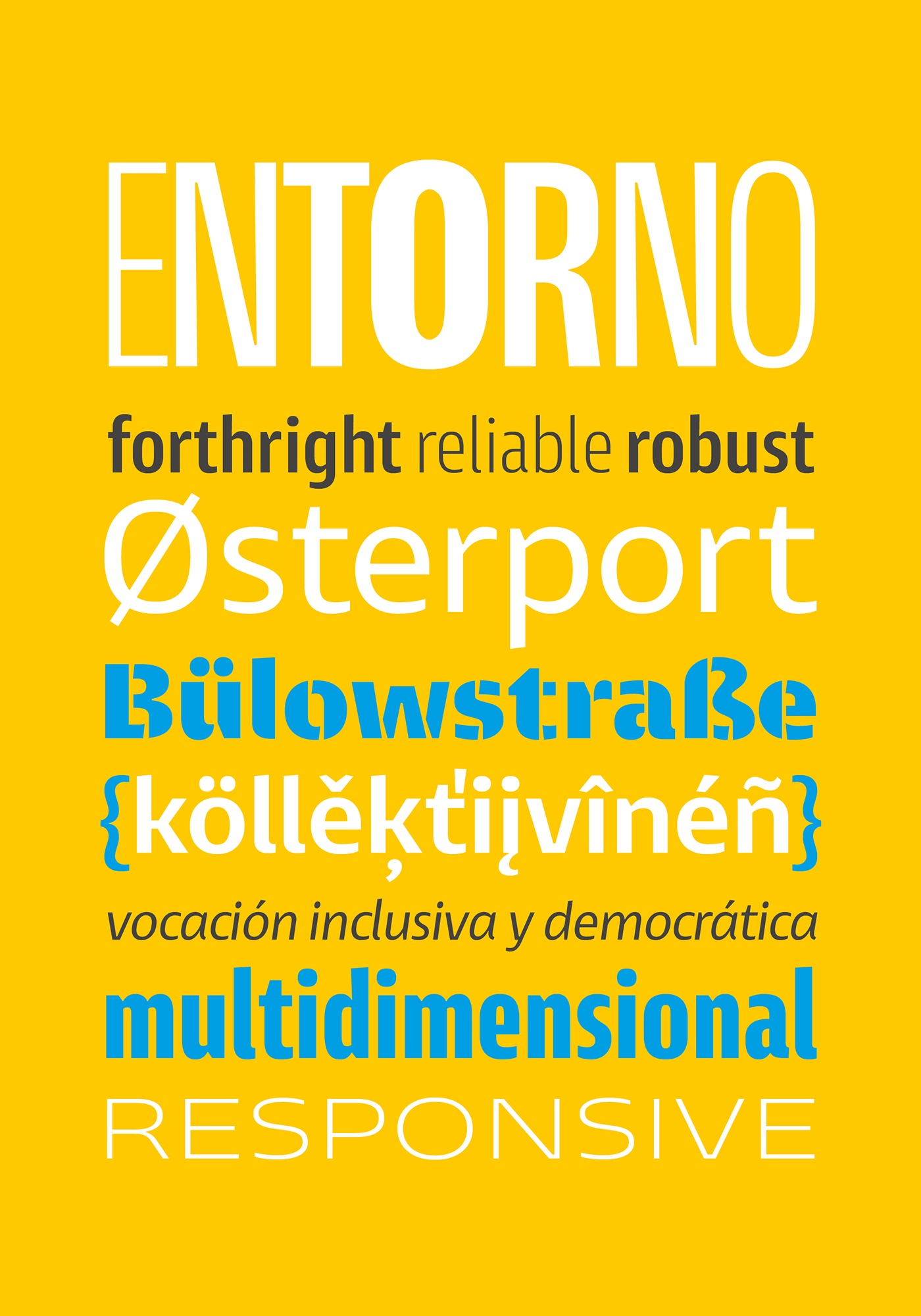 Variable Font type typography   type design typemedia