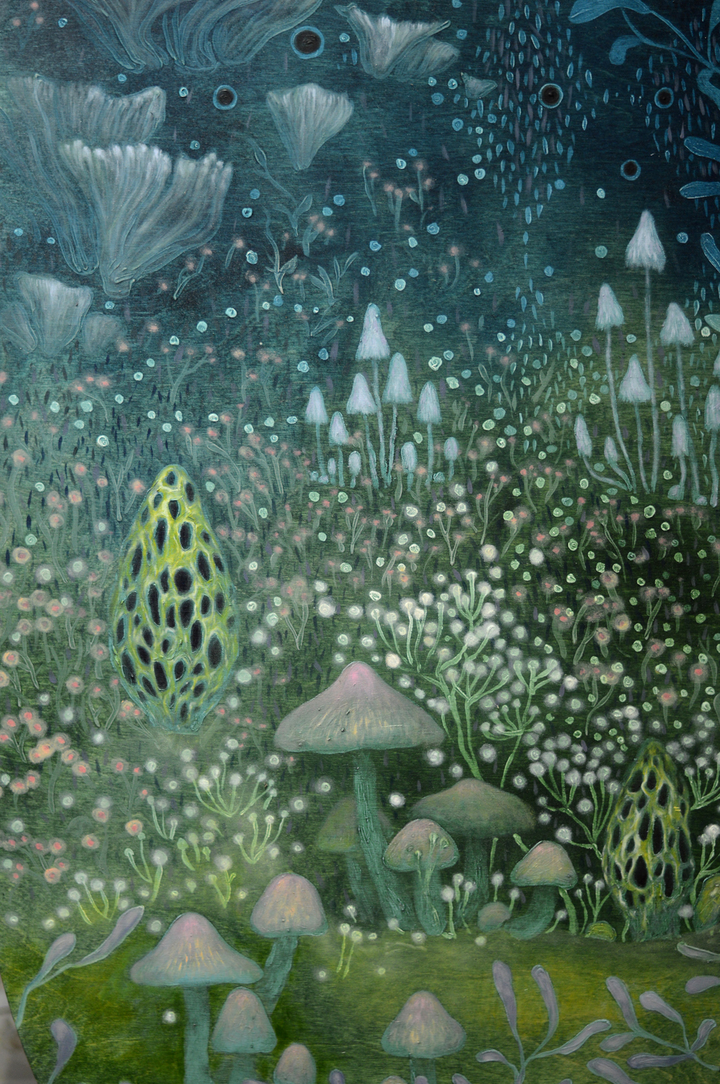 artwork biodiversity environment Fungi mushroom Nature Oil Painting oilpainting painting   Paintings