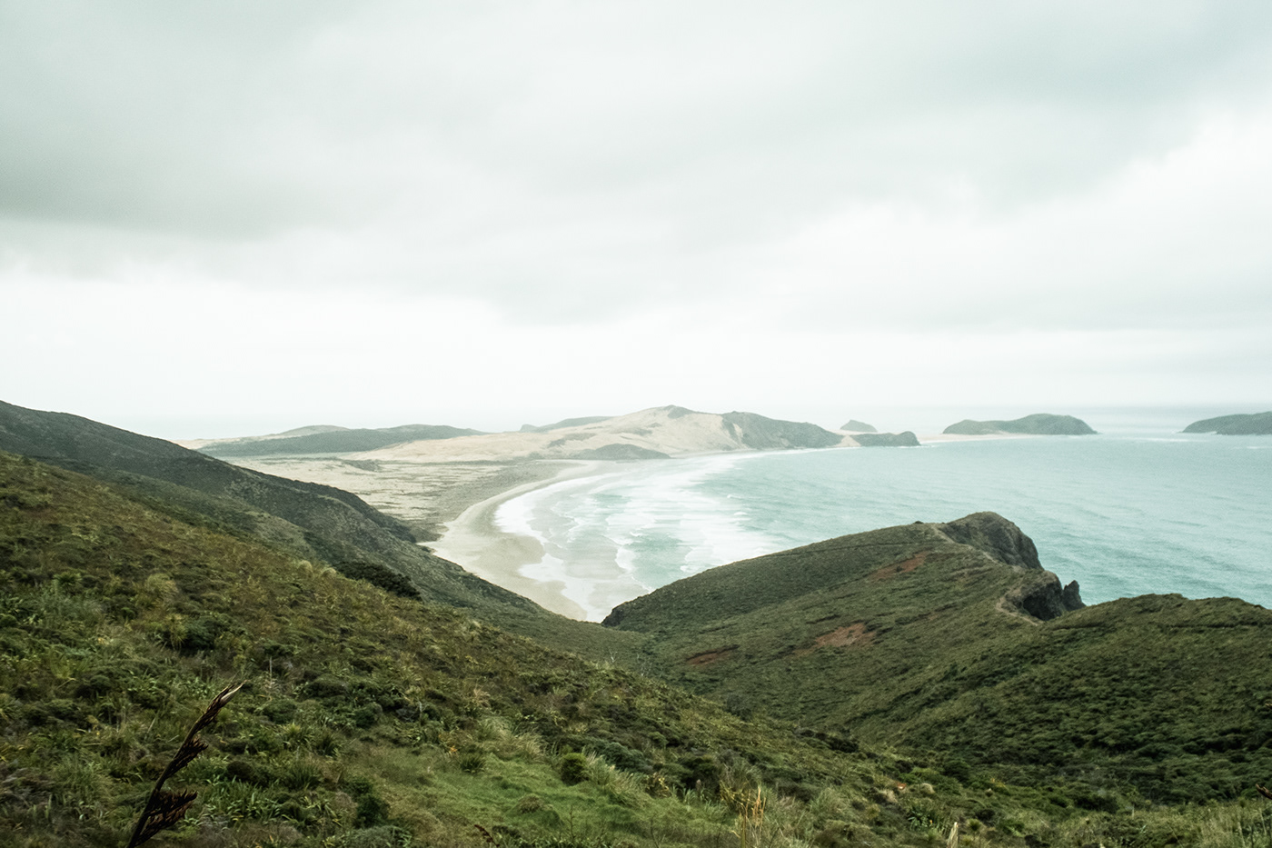 Travel newzealand leadbytheunknown Photography  Surf Ocean Nature nilsgrubba