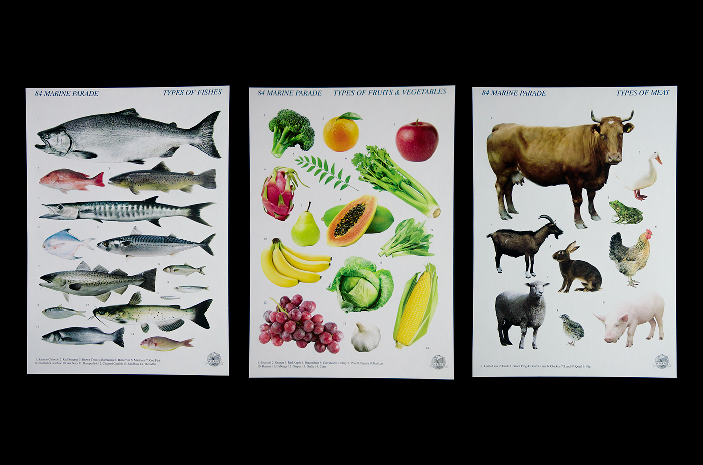 market Technology art design fish meat vegetables