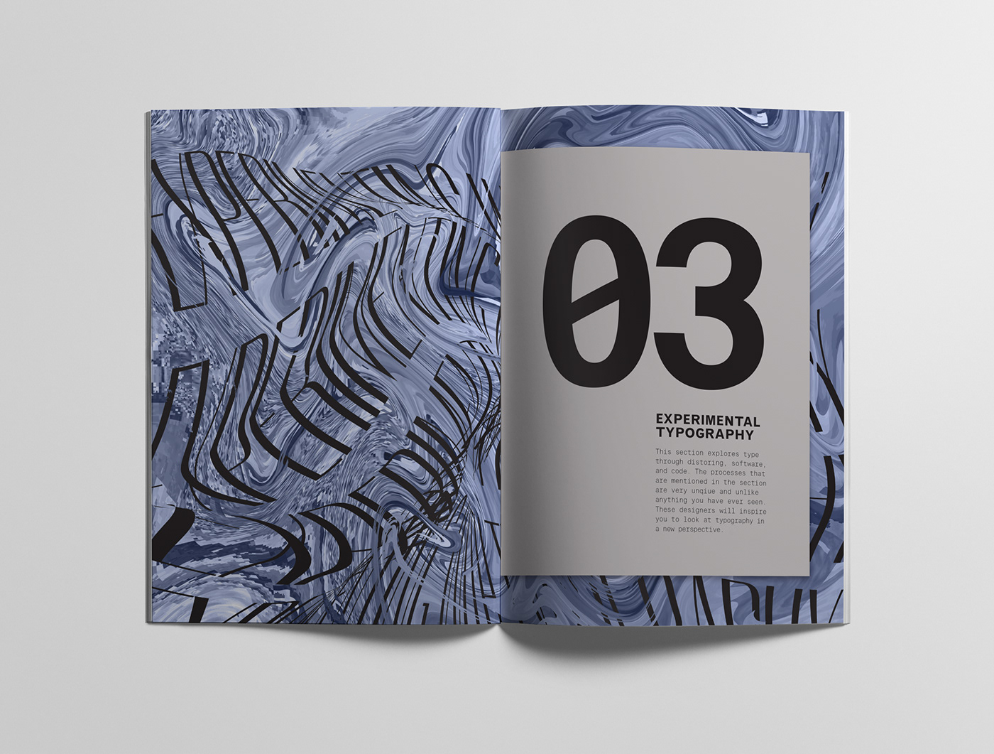 experimental publication typography   scanner graphic design  print design  magazine glitch art editorial adobeawards