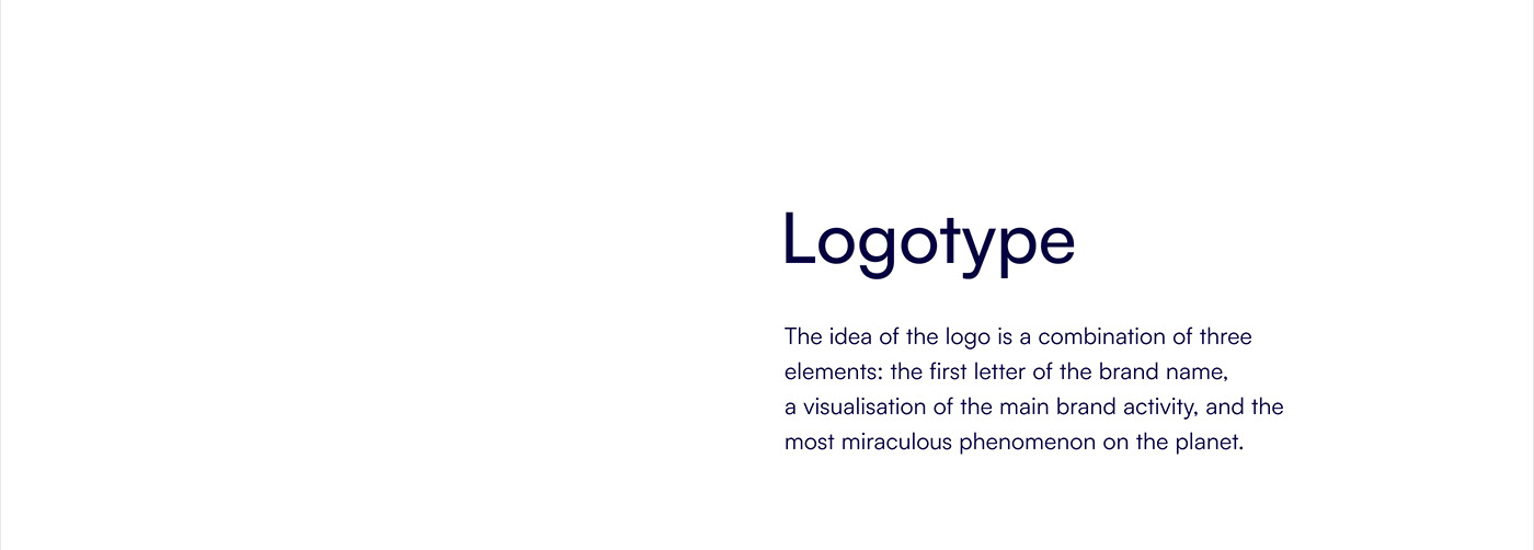 Web Design  UI/UX logo branding  brand identity Logo Design Logotype Website visual identity