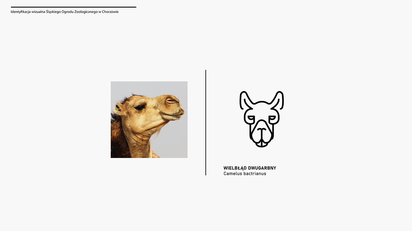 graphic design  logo visual identity Brand Design vector brand identity adobe illustrator animal logo Case Study Student work