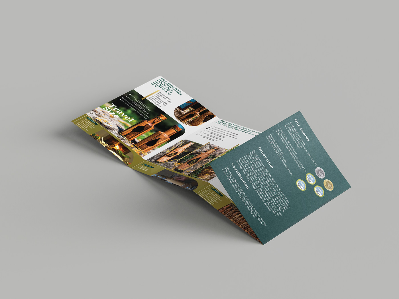 Advertising  brand identity branding  brochure brochure design flyer marketing   print Quadfold visual