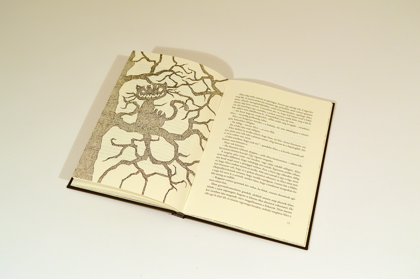 book design alice wonderland ILLUSTRATION  Drawing  Bookbinding dark