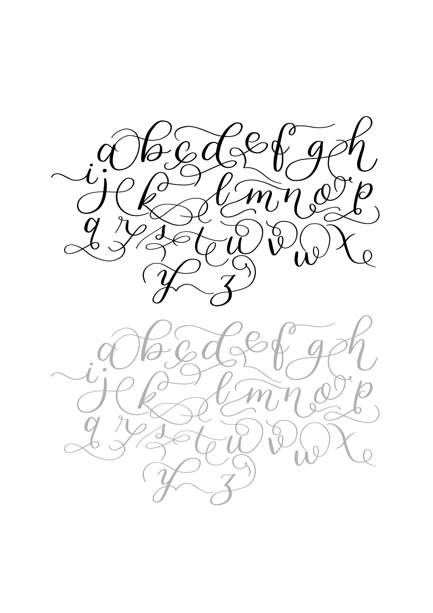 Calligraphy   flourishes alphabet lettering black and white