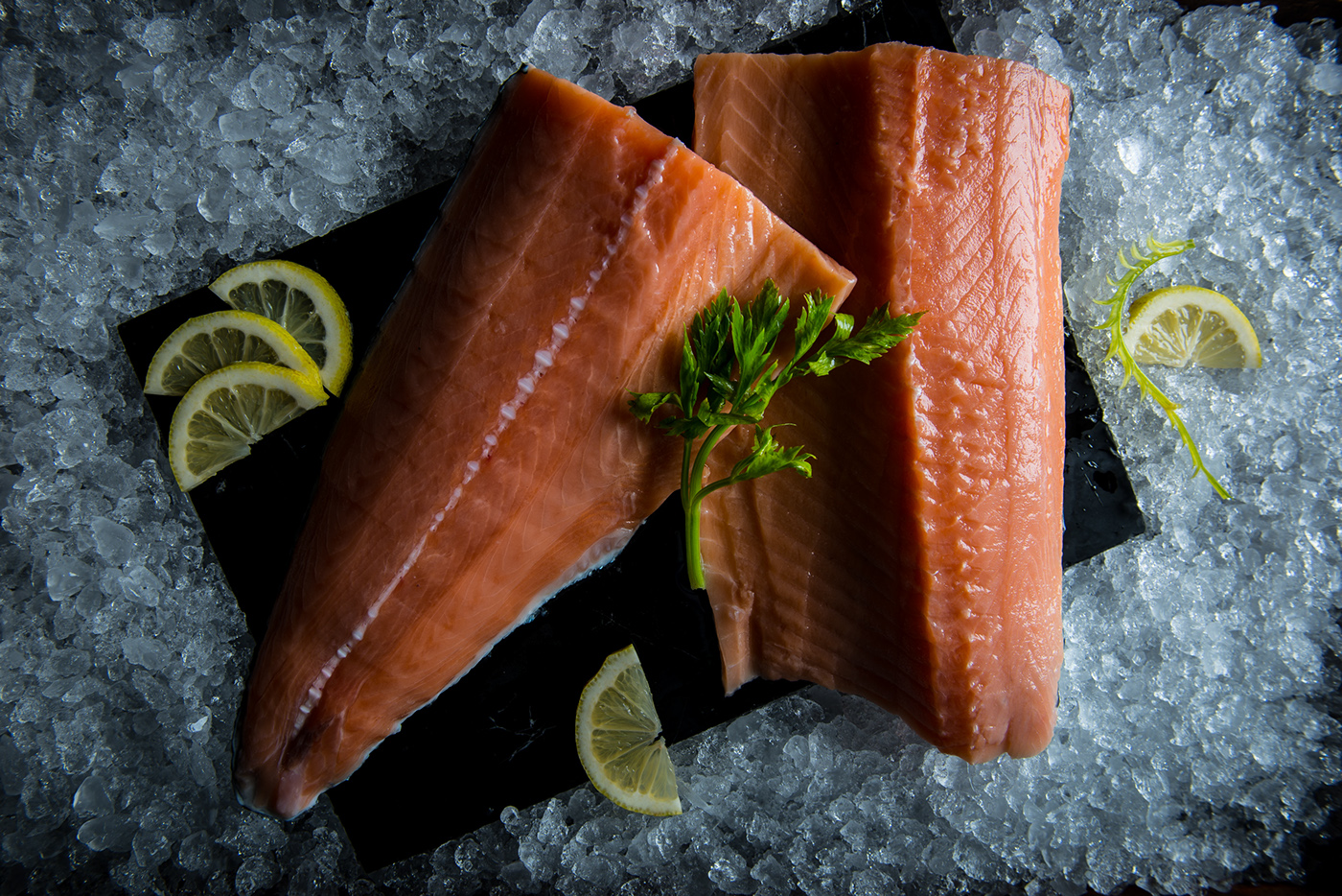 Sushi restaurant tuna salmon japan Photography  video delicious fish studio