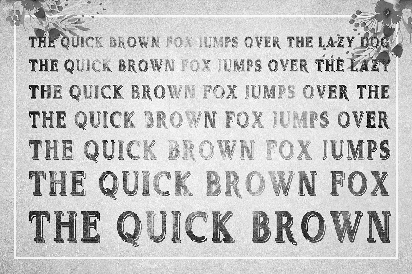 vintage vintage font Retro retro font Typeface retro typeface retro alphabet font Script sans serif