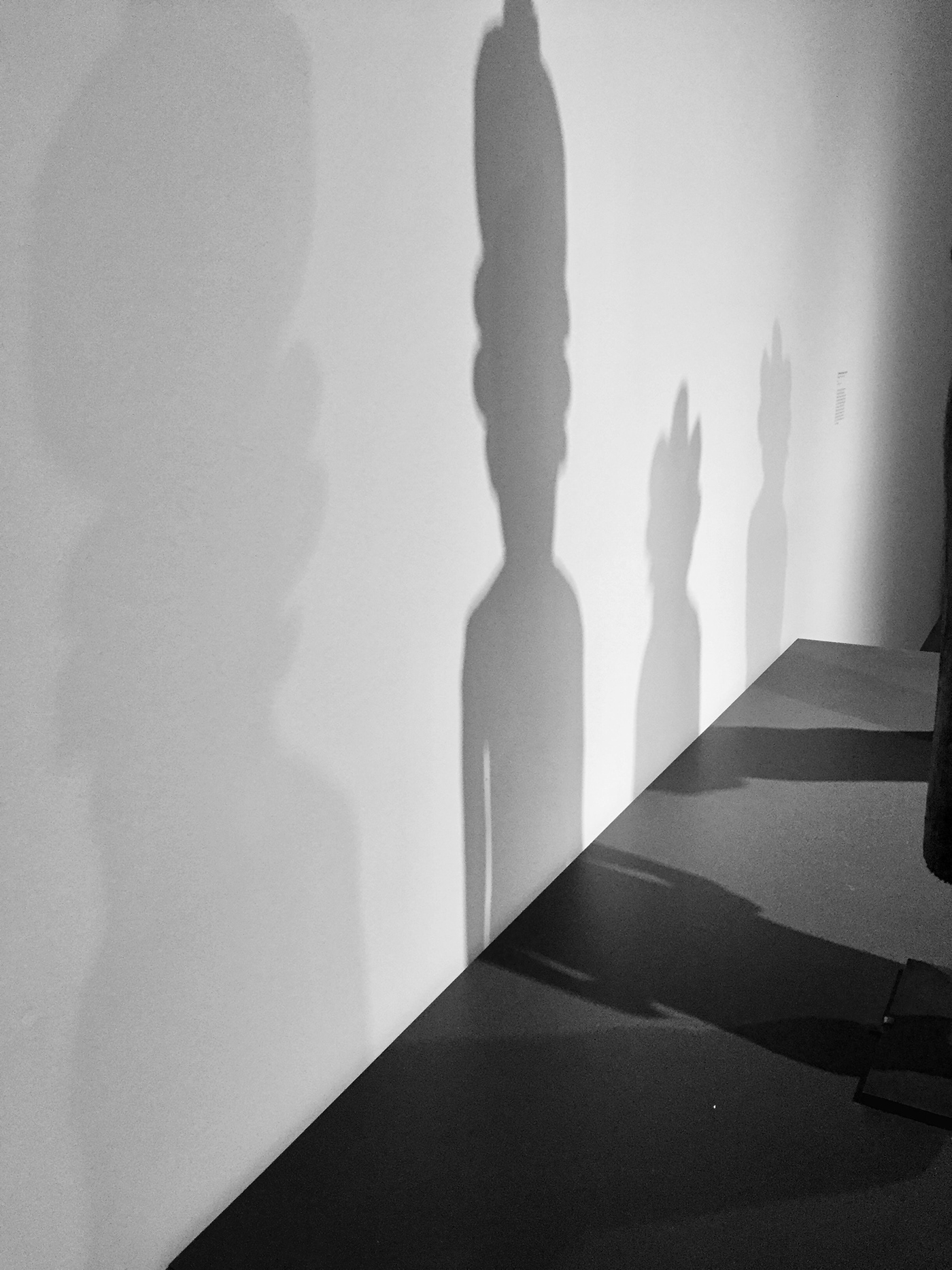 Photography  Shadows installation