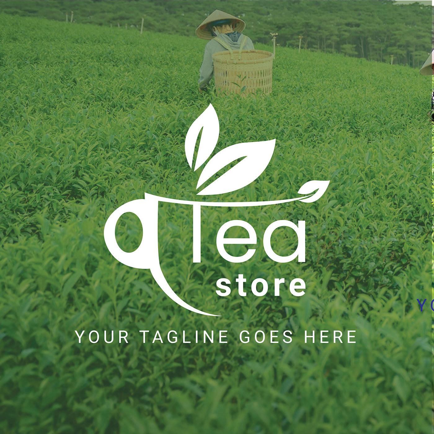 tea logo tea restaurant logo green enjoy Health Hot tea break  tea store logo
